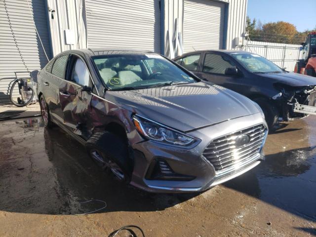 HYUNDAI SONATA SPO 2018 5npe34af7jh643344