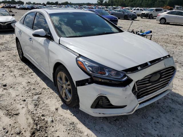 HYUNDAI SONATA SPO 2018 5npe34af7jh681110