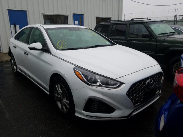 HYUNDAI SONATA SPO 2018 5npe34af7jh696464