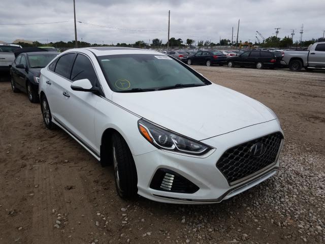 HYUNDAI SONATA SPO 2018 5npe34af7jh701940