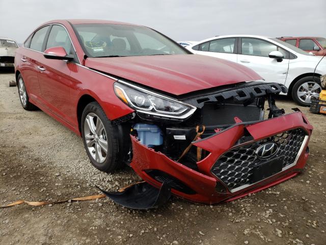 HYUNDAI SONATA LIM 2019 5npe34af7kh729934