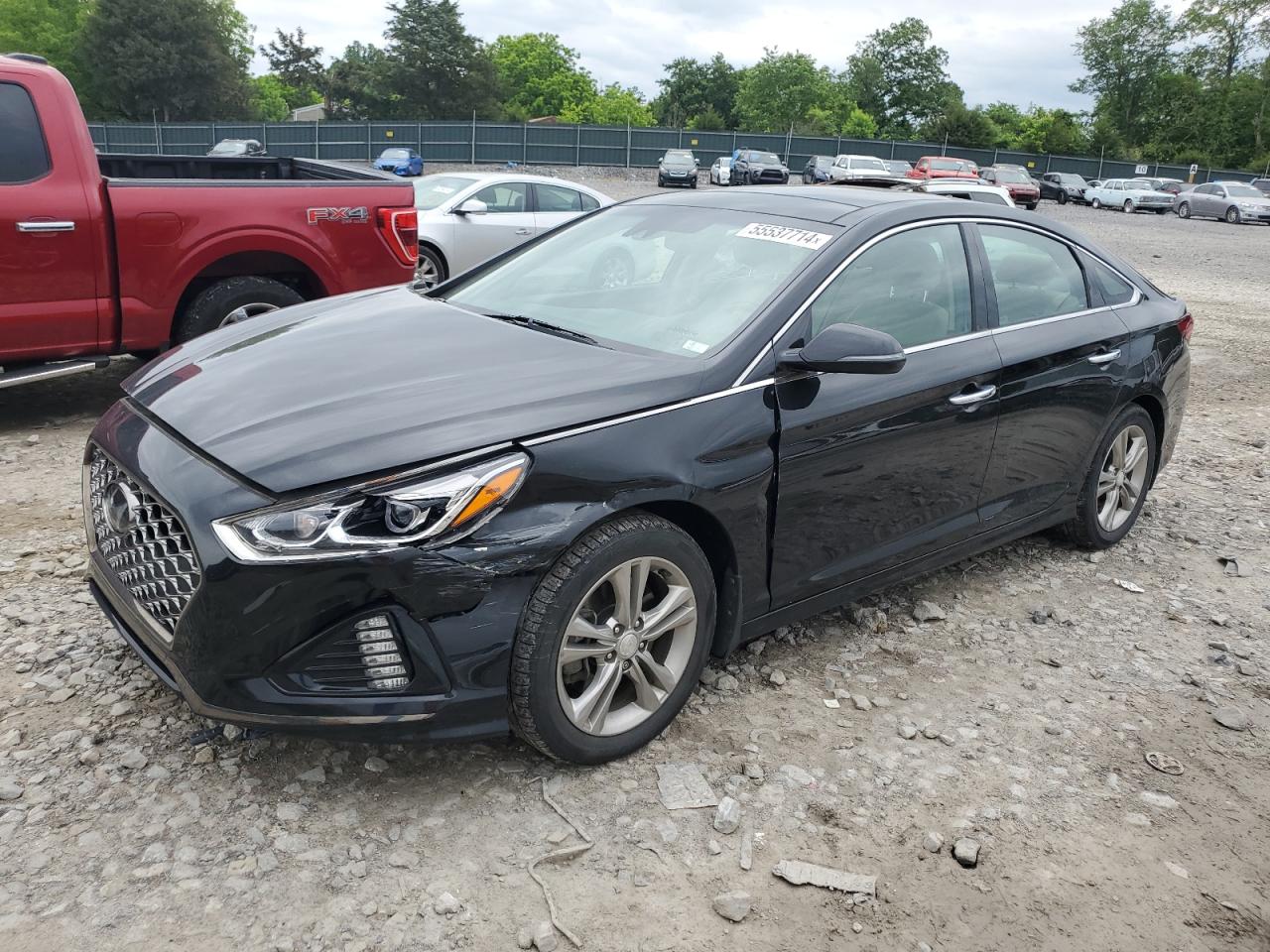 HYUNDAI SONATA 2019 5npe34af7kh732994