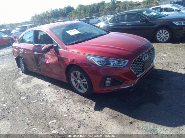 HYUNDAI SONATA 2019 5npe34af7kh736656