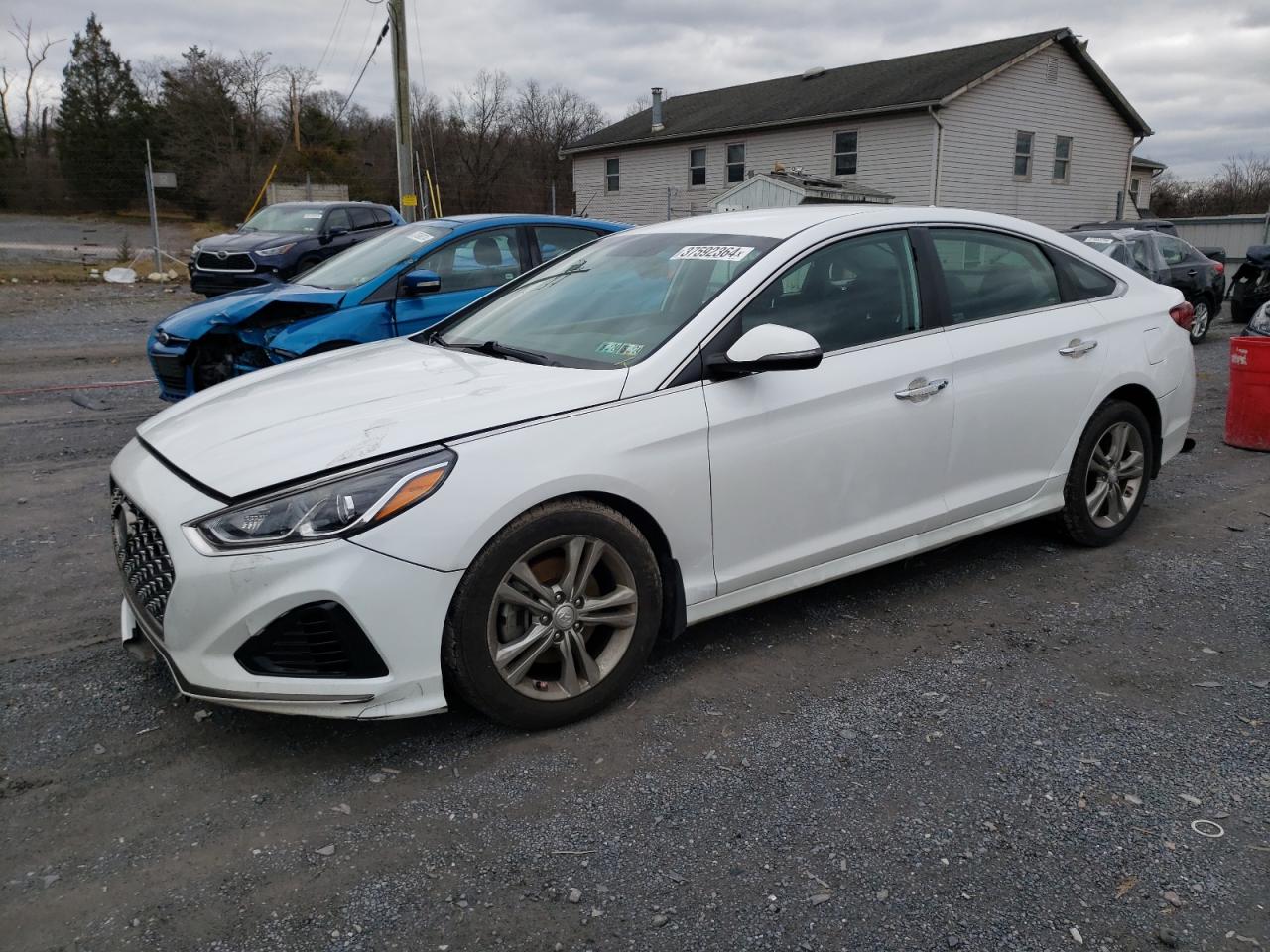 HYUNDAI SONATA 2019 5npe34af7kh738021