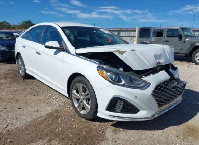 HYUNDAI SONATA 2019 5npe34af7kh738987