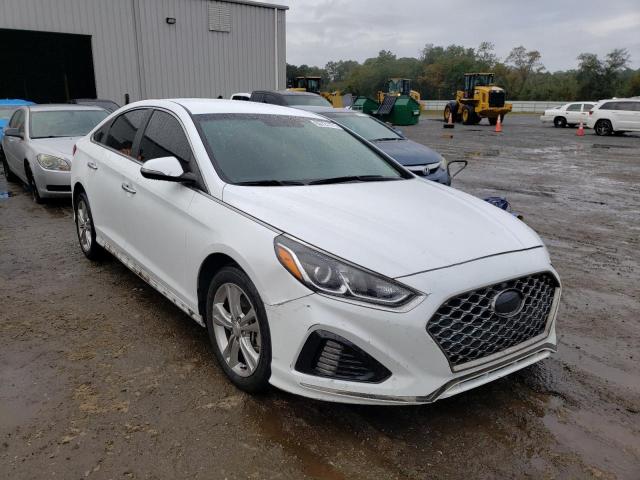 HYUNDAI SONATA LIM 2019 5npe34af7kh790295