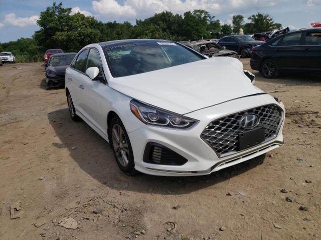 HYUNDAI SONATA LIM 2019 5npe34af7kh811873