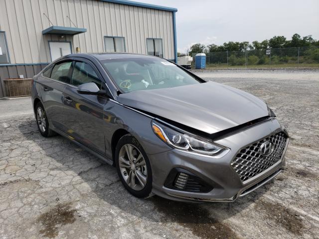 HYUNDAI SONATA LIM 2019 5npe34af7kh821464