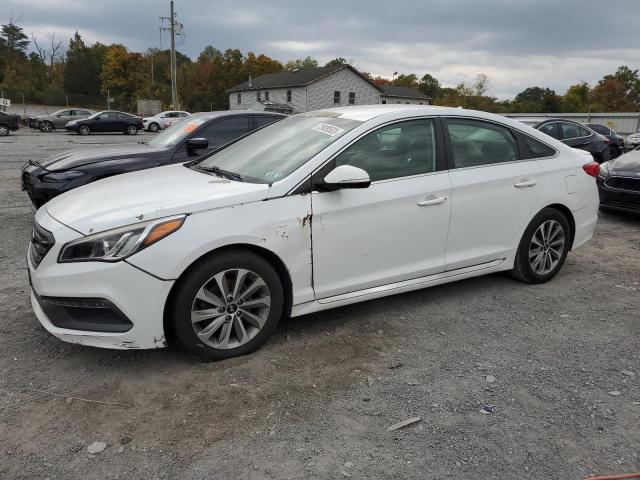 HYUNDAI SONATA SPO 2015 5npe34af8fh022699