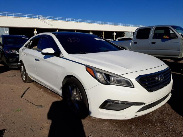 HYUNDAI SONATA SPO 2015 5npe34af8fh043438