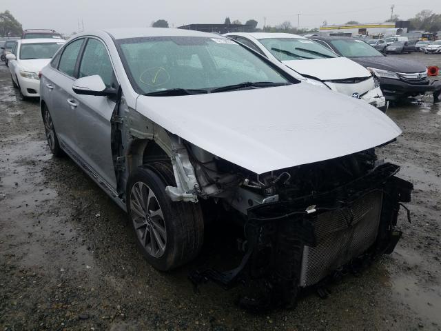 HYUNDAI SONATA SPO 2015 5npe34af8fh067965