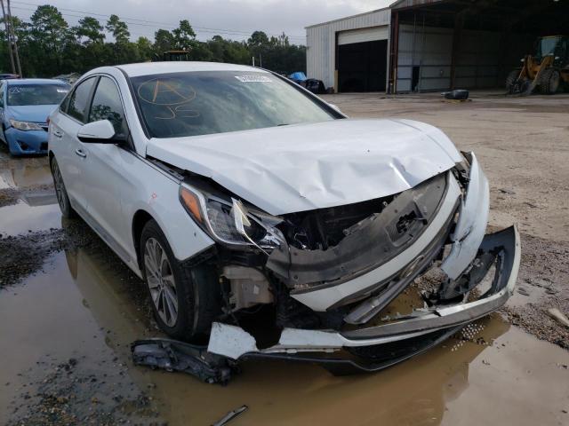 HYUNDAI SONATA SPO 2015 5npe34af8fh075077