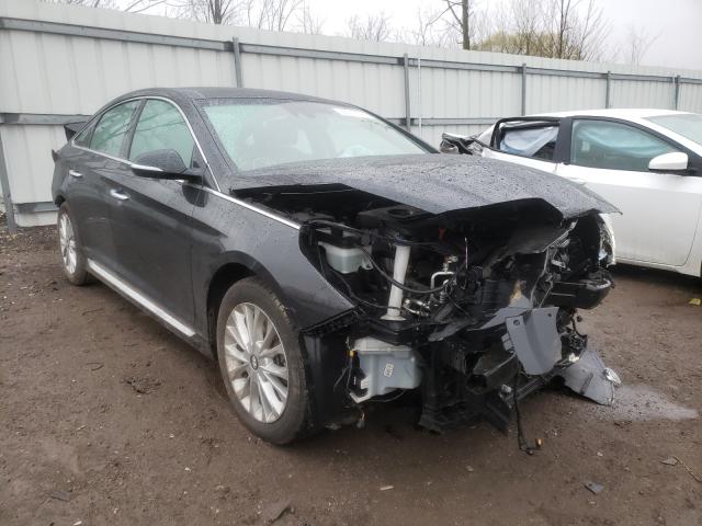 HYUNDAI SONATA SPO 2015 5npe34af8fh077377