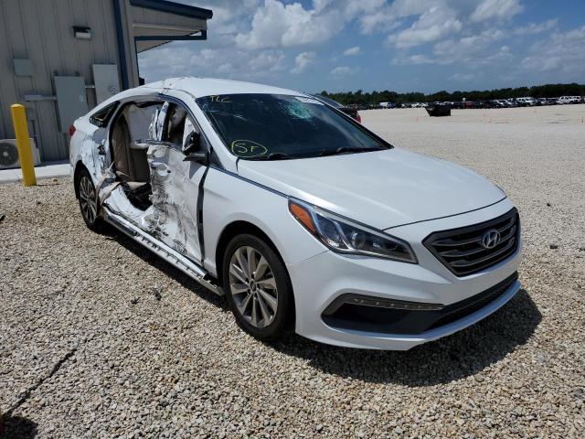 HYUNDAI SONATA SPO 2015 5npe34af8fh081753