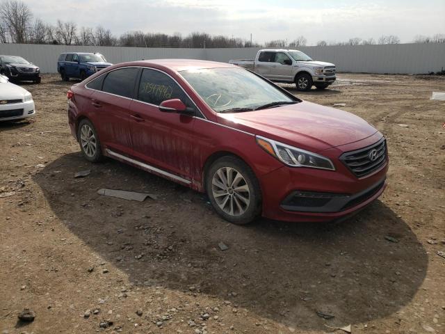 HYUNDAI SONATA SPO 2015 5npe34af8fh114444