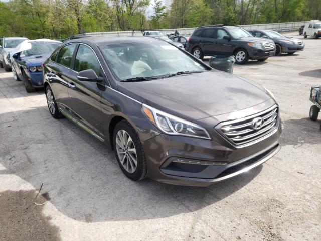 HYUNDAI SONATA SPO 2015 5npe34af8fh130739