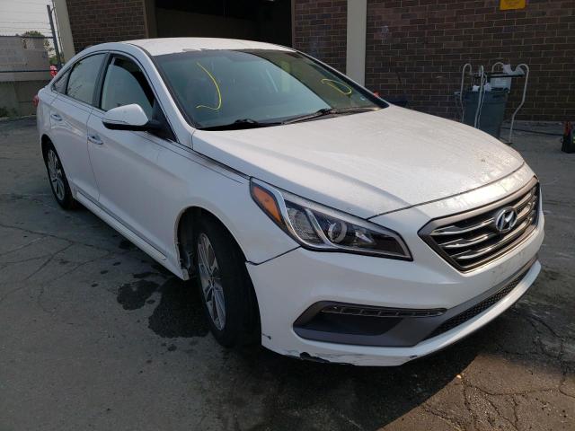 HYUNDAI SONATA SPO 2015 5npe34af8fh133348