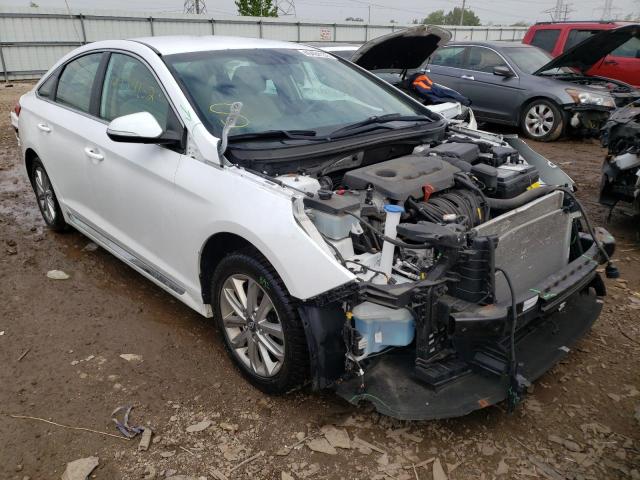 HYUNDAI SONATA SPO 2016 5npe34af8gh288872