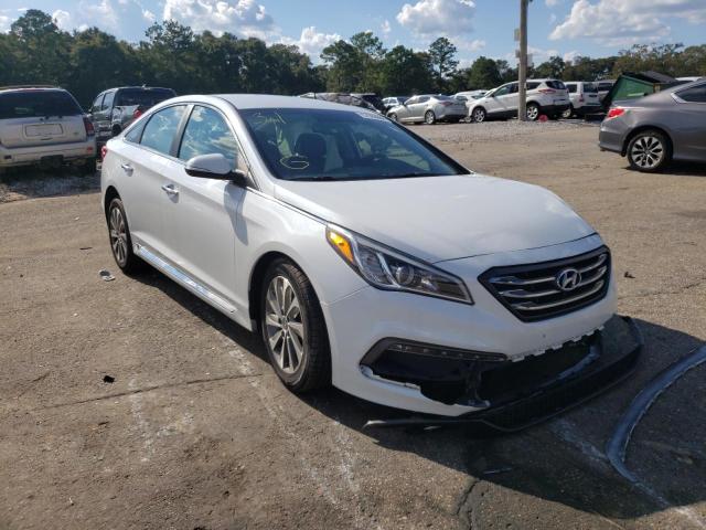 HYUNDAI SONATA SPO 2016 5npe34af8gh299578