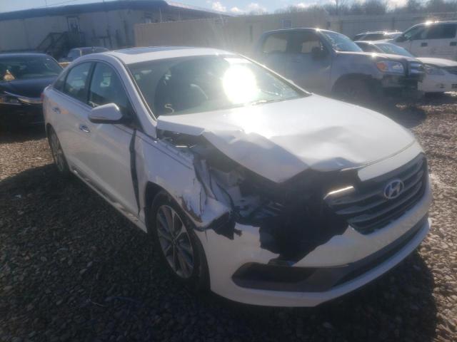 HYUNDAI SONATA SPO 2016 5npe34af8gh308747