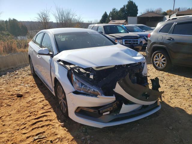 HYUNDAI SONATA SPO 2016 5npe34af8gh313415