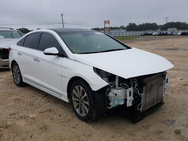 HYUNDAI SONATA SPO 2016 5npe34af8gh314743