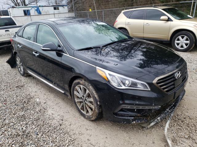 HYUNDAI SONATA SPO 2016 5npe34af8gh324026