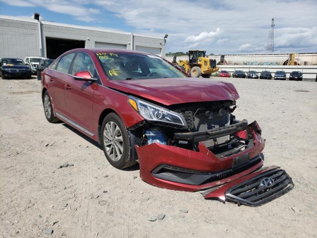 HYUNDAI SONATA SPO 2016 5npe34af8gh338282