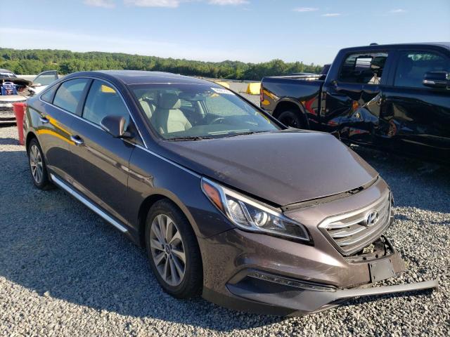 HYUNDAI SONATA SPO 2016 5npe34af8gh379561