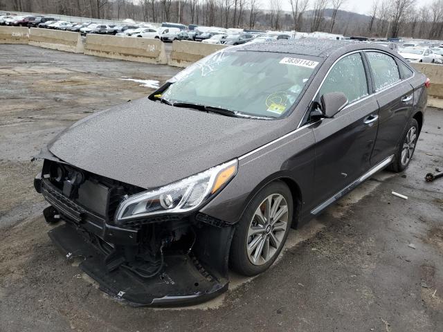 HYUNDAI SONATA SPO 2016 5npe34af8gh379821