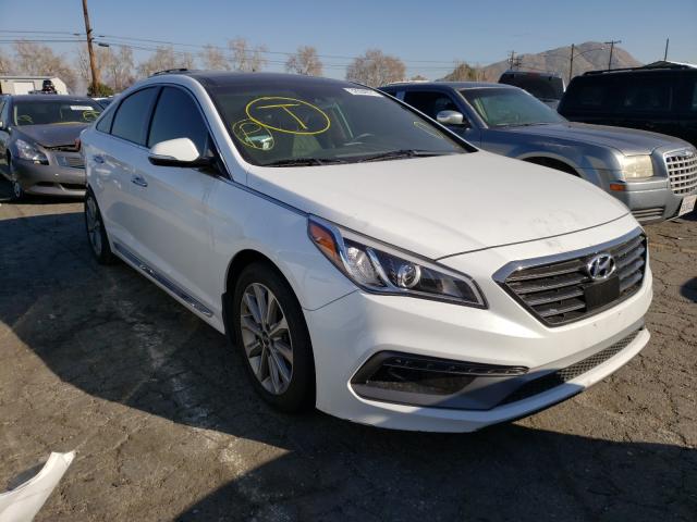 HYUNDAI SONATA SPO 2016 5npe34af8gh401185