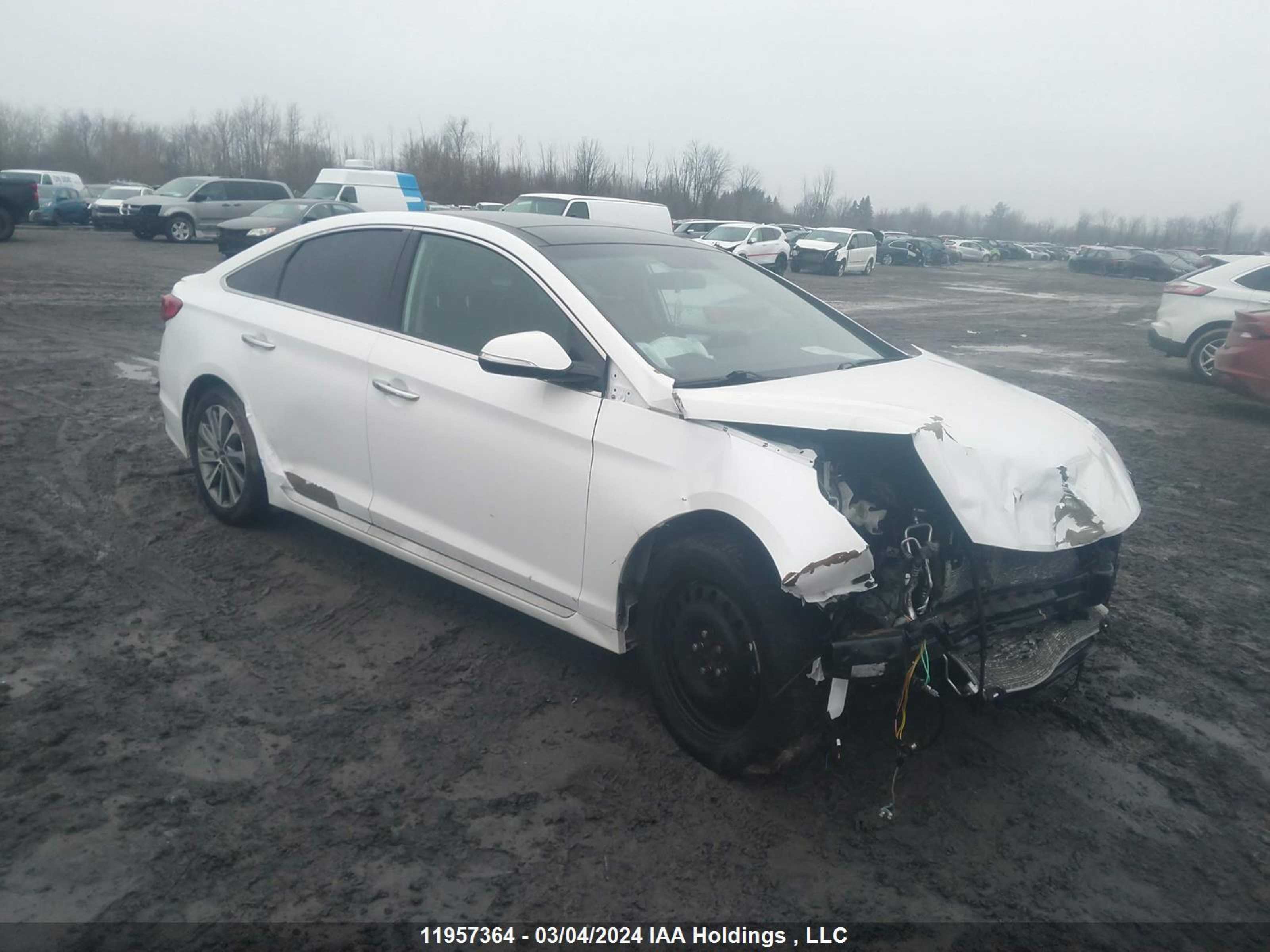 HYUNDAI SONATA 2016 5npe34af8gh410601