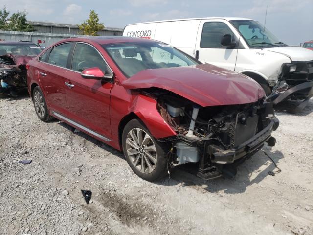 HYUNDAI SONATA SPO 2016 5npe34af8gh423011