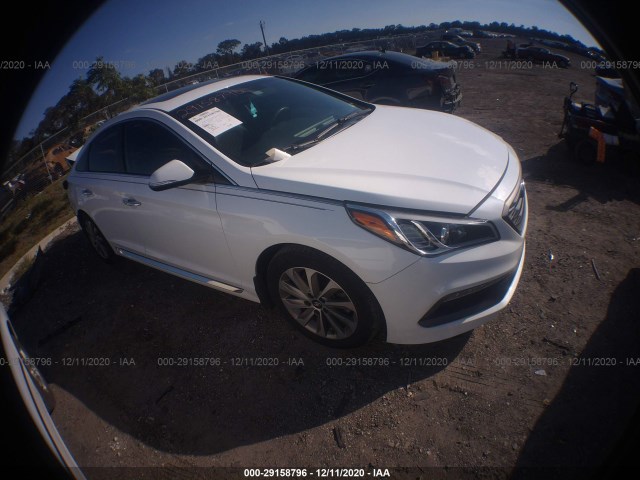 HYUNDAI SONATA 2017 5npe34af8hh455457