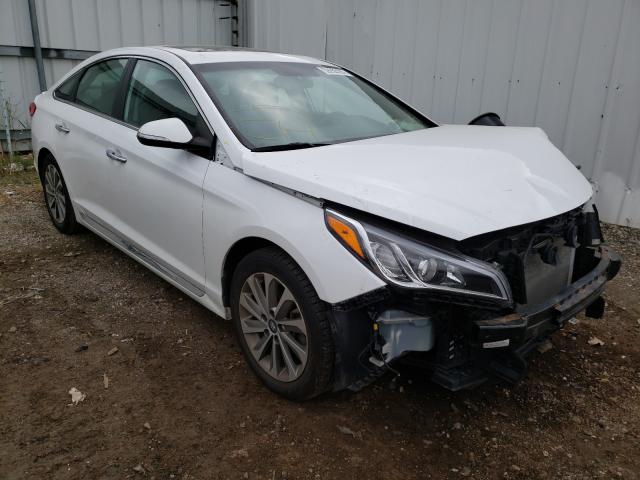 HYUNDAI SONATA SPO 2017 5npe34af8hh467656