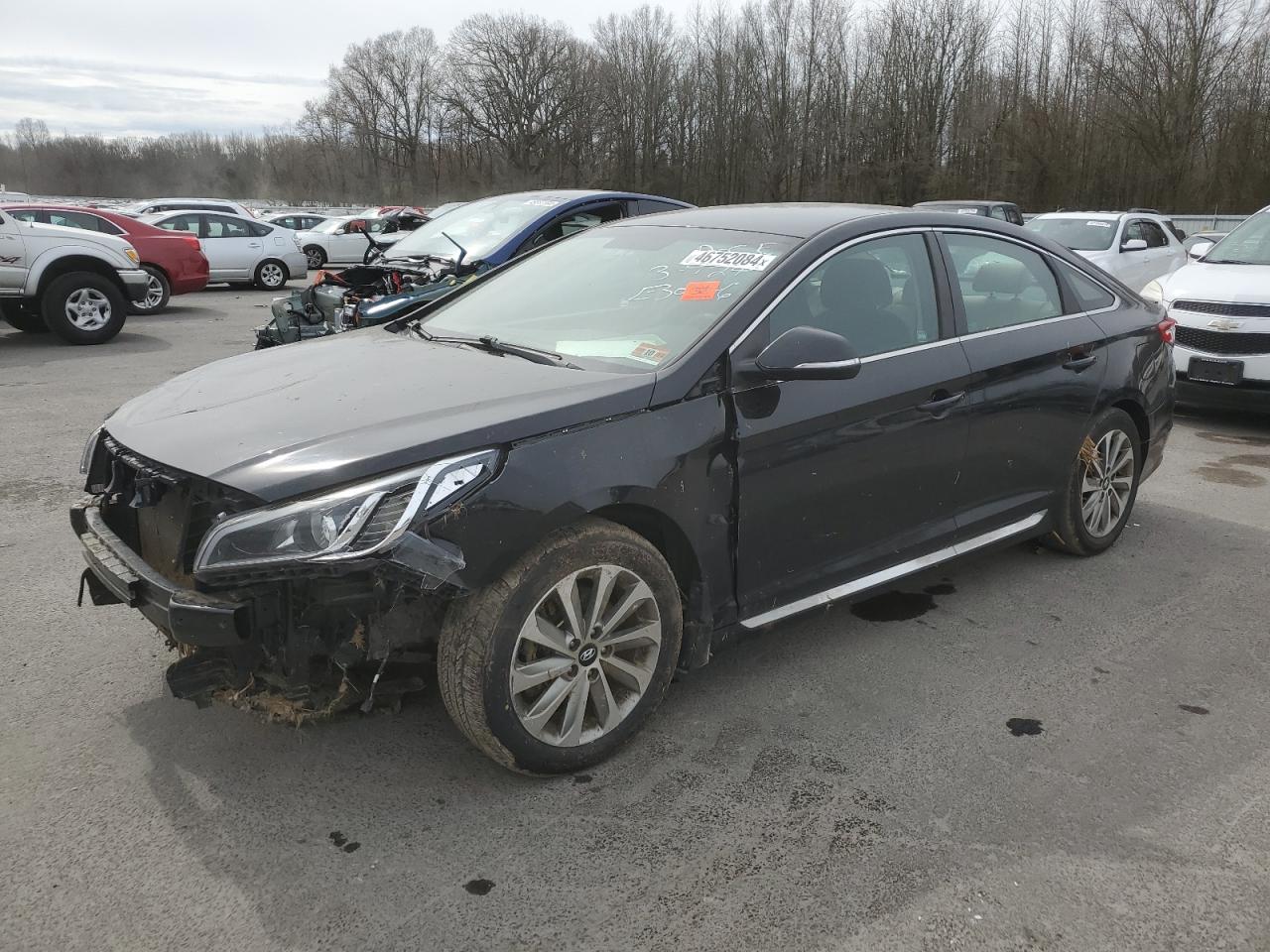 HYUNDAI SONATA 2017 5npe34af8hh495344