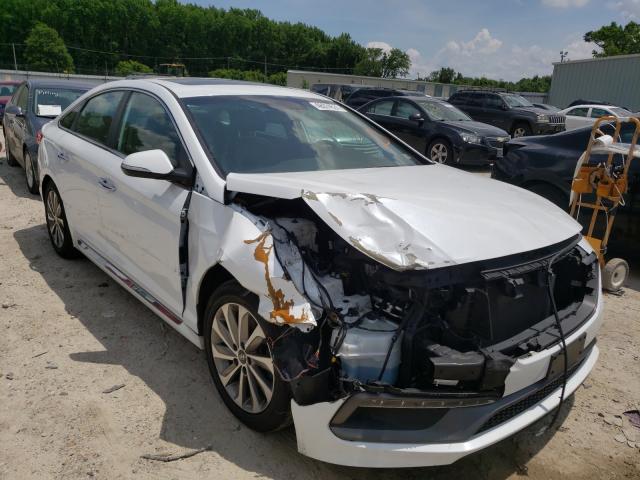 HYUNDAI SONATA SPO 2017 5npe34af8hh511025