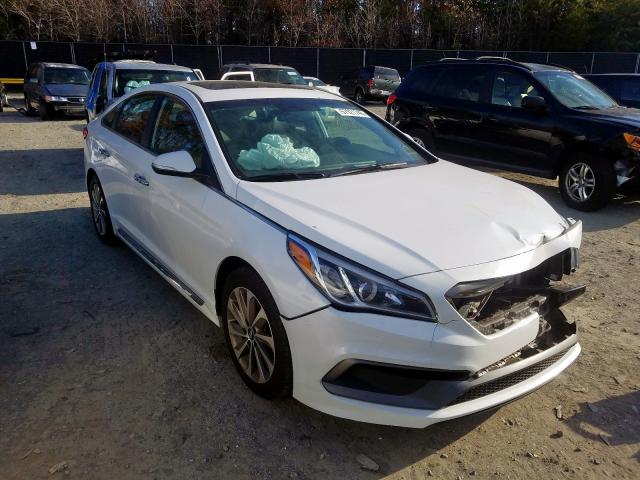 HYUNDAI SONATA SPO 2017 5npe34af8hh513602