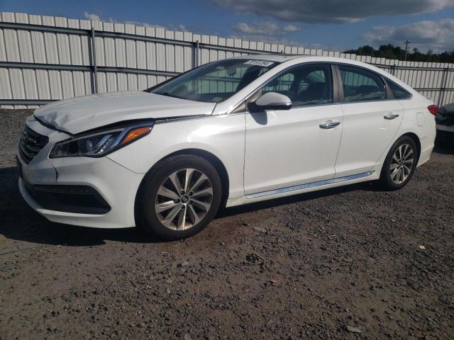 HYUNDAI SONATA SPO 2017 5npe34af8hh516001