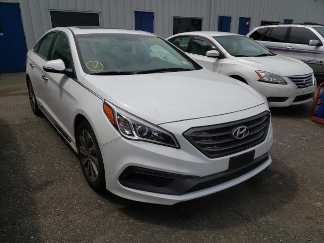 HYUNDAI SONATA SPO 2017 5npe34af8hh525569