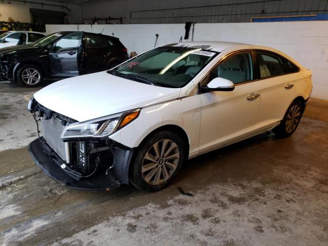 HYUNDAI SONATA SPO 2017 5npe34af8hh555557