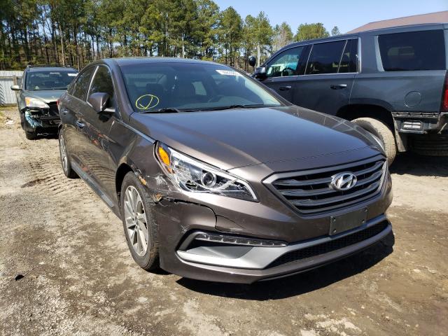 HYUNDAI SONATA SPO 2017 5npe34af8hh589837