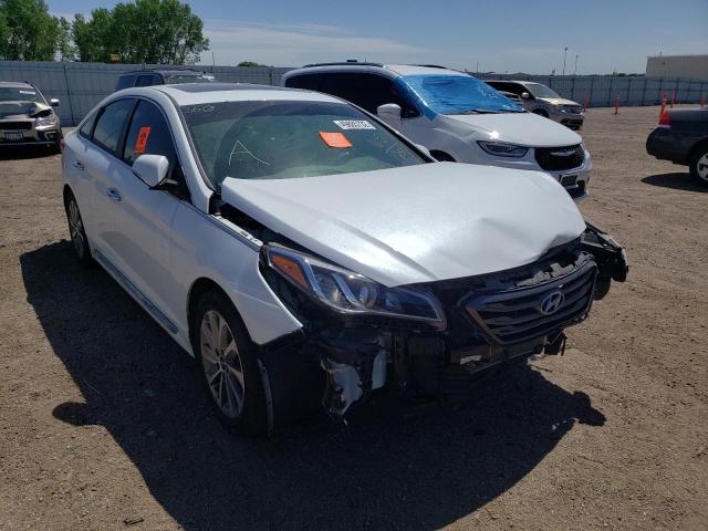 HYUNDAI SONATA SPO 2017 5npe34af8hh591281