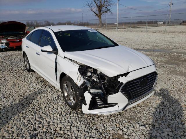 HYUNDAI SONATA SPO 2018 5npe34af8jh603838