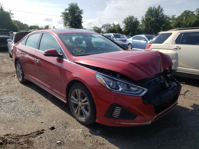 HYUNDAI SONATA SPO 2018 5npe34af8jh627475