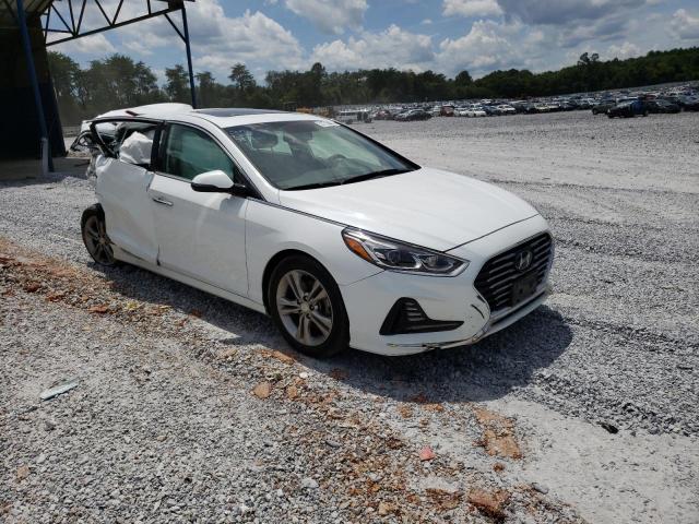 HYUNDAI SONATA SPO 2018 5npe34af8jh627878