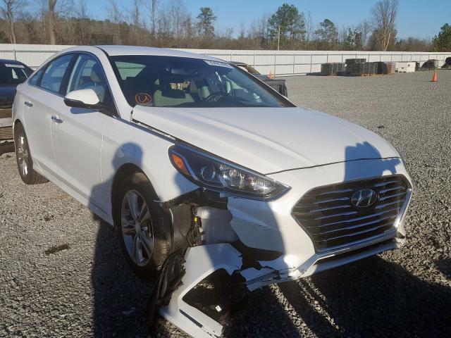 HYUNDAI SONATA SPO 2018 5npe34af8jh629856