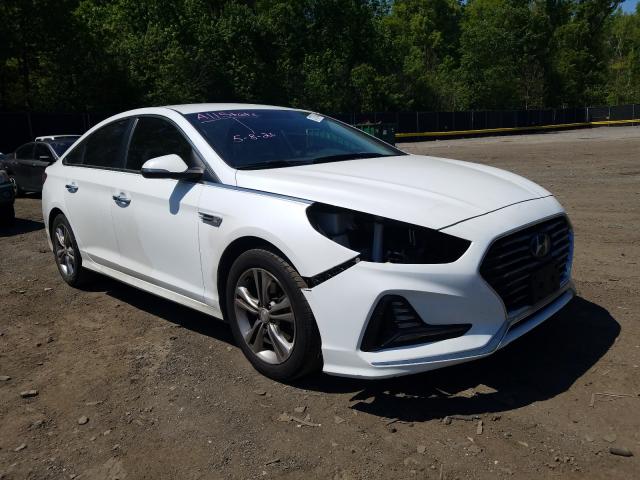 HYUNDAI SONATA SPO 2018 5npe34af8jh632434