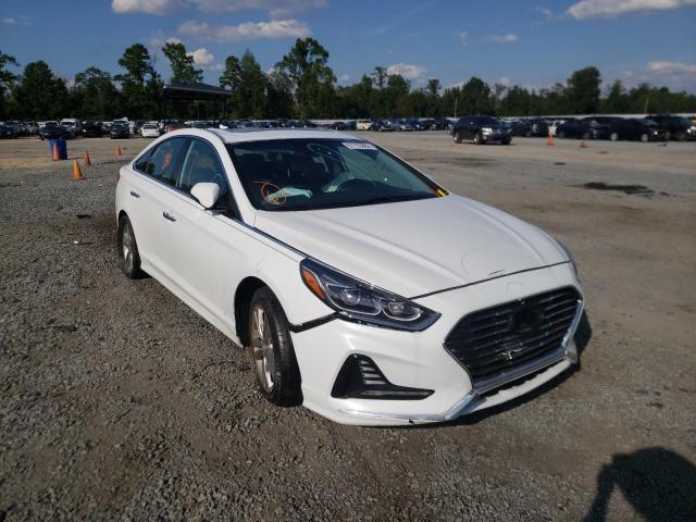 HYUNDAI SONATA SPO 2018 5npe34af8jh653252