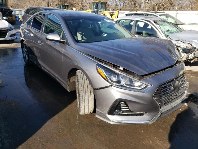 HYUNDAI SONATA SPO 2018 5npe34af8jh665398